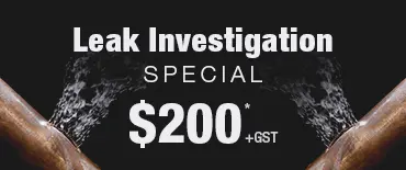 Leak Investigation Discount Paremoremo