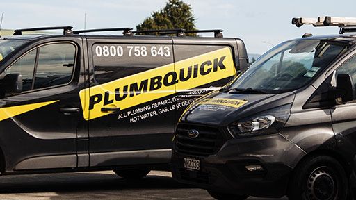 Professional Paremoremo Plumbers
